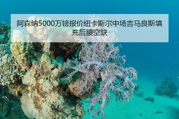 a-sen-na-wan-bang-bao-jia-niu-ka-si-er-zhong-chang-ji-ma-liang-si-tian-chong-hou-yao-kong-que-3-237.jpg