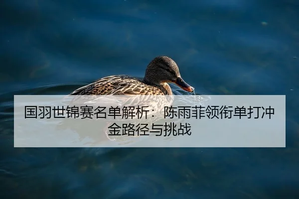guo-yu-shi-jin-sai-ming-dan-jie-xi-chen-yu-fei-ling-xian-dan-da-chong-jin-lu-jing-yu-tiao-zhan-2-113.jpg